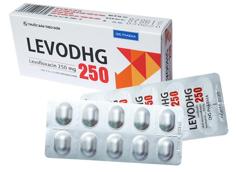 thuốc Evodhg 250