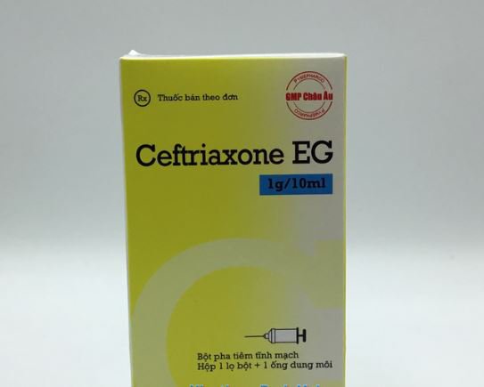 thuốc ceftriaxone
