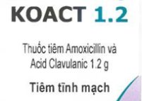 koact 1.2