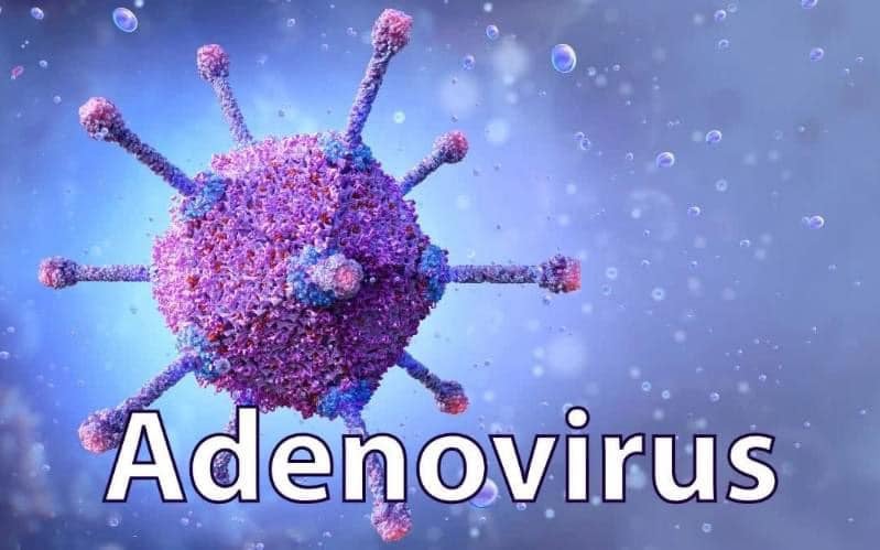 Nhiễm adenovirus