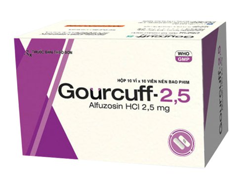 Gourcuff-2,5