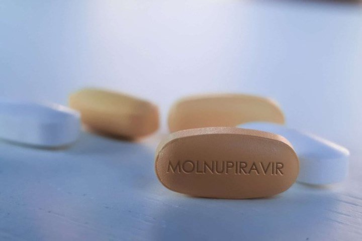 thuốc molnupiravir 200mg chống chỉ định