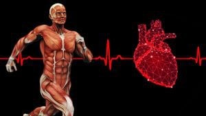 Vận động thể lực sau điều trị tim mạch