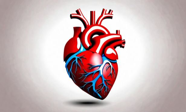 Sốc tim là tình trạng tim mạch nghiêm trọng cần điều trị kịp thời