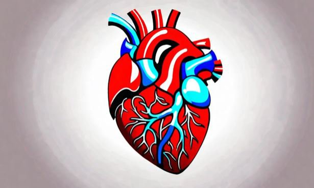 Máy tạo nhịp tim có thể sử dụng trong nhiều trường hợp tim mạch