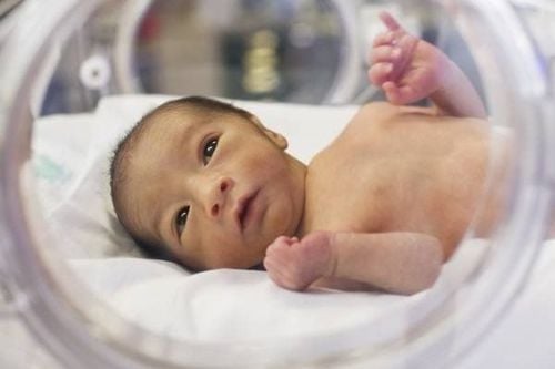 Standard weight chart for preterm infants