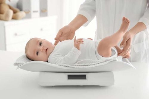 Weight of an 8-Month-Old Girl