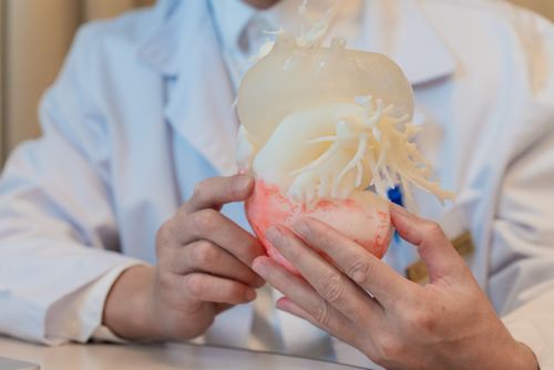 Thay van động mạch chủ qua da ứng dụng công nghệ in 3D cá thể hóa