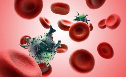 Elevated leukocyte counts increase the risk of blood cancers (leukemia).
