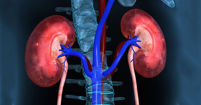Suy thận cấp: Phương pháp chẩn đoán và điều trị bệnh | Vinmec