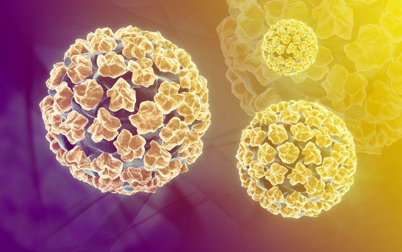 Đã nhiễm virus HPV thì có tự khỏi không? Có cách nào để điều trị virus HPV  không? | Vinmec