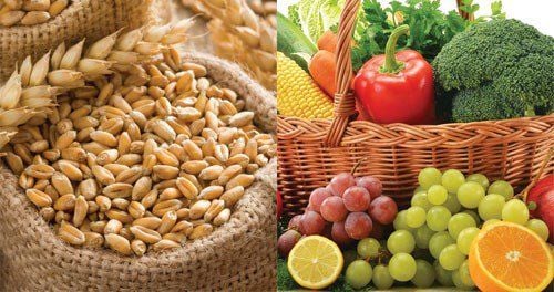 Cereals and fruits are sources of nutrition that not only increase milk quantity but also create its flavor.