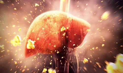 Prolonged elevation of liver enzymes can lead to liver cancer