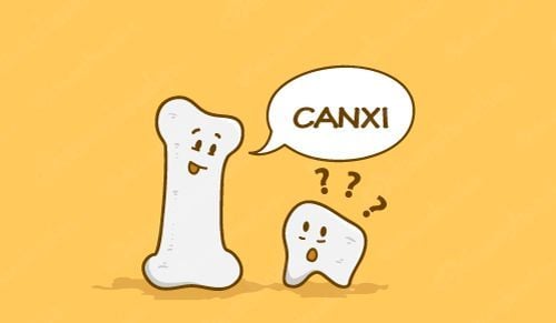 Calcium is extremely essential for the development of pregnancy