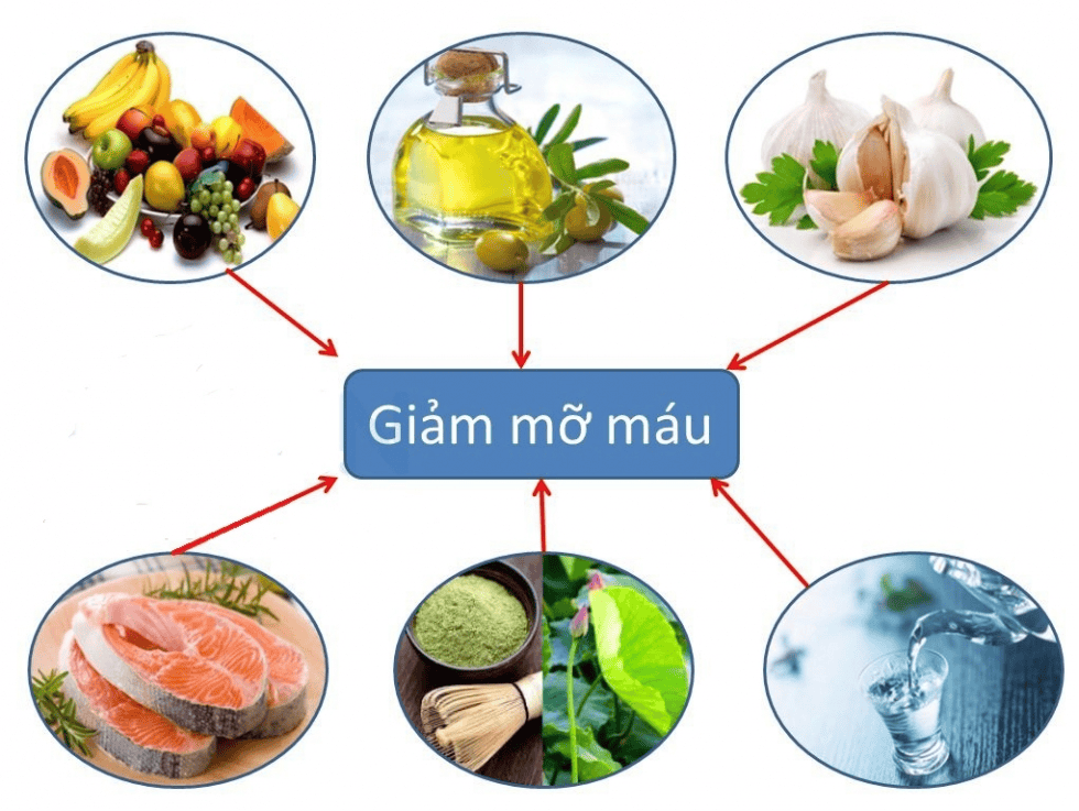 Chế độ ăn cho người rối loạn lipid máu | Vinmec