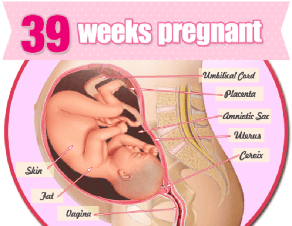 SIÊU ÂM CHO THẤY THAI NHI 39 TUẦN CHƯA CÓ DẤU HIỆU SINH