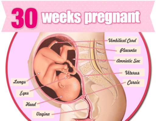 Sự phát triển của thai nhi tuần 30 | Vinmec
