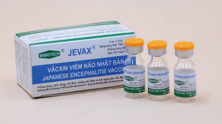 Minh họa virus viêm não Nhật Bản và đường lây truyền qua muỗi trung gian trong môi trường nhiệt đới