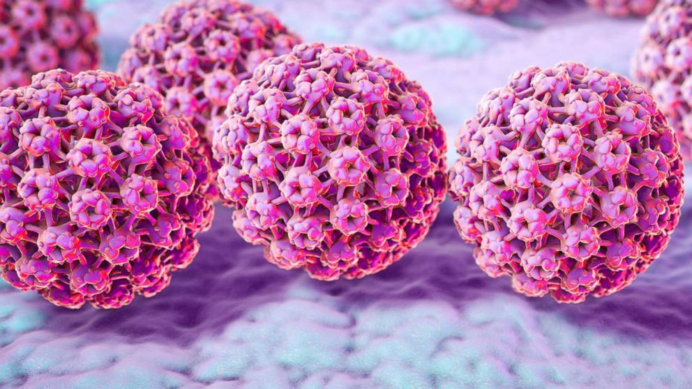 Virus HPV: 5 điều tất cả phụ nữ n&ecirc;n biết | Vinmec