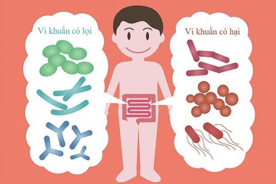 Hit Club Khám phá sức mạnh công nghệ sinh học - Tương lai của sức khỏe và nông nghiệp