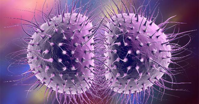 Đặc điểm và cách phát hiện vi khuẩn lậu | Vinmec