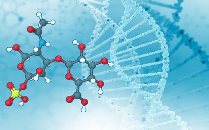 Chondroitin Sulfate Uses, Dosage, Side Effects