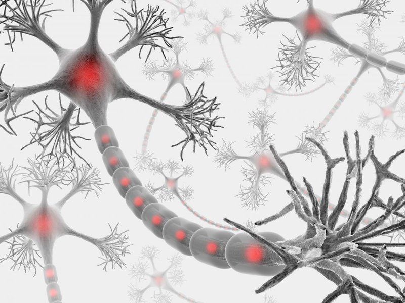 Biến chứng thần kinh ngoại biên của bệnh tiểu đường có nguy hiểm? | Vinmec