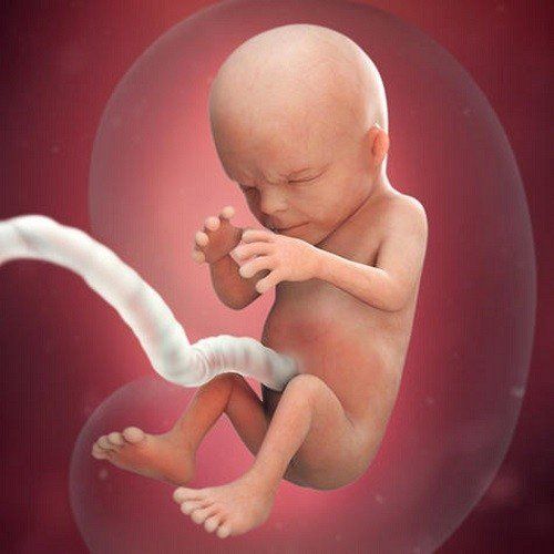 Nhằm phát hiện dấu hiệu sản phụ mang thai mắc hội chứng Down hay trisomy 18 là một mục đích của việc sàng lọc trong 3 tháng đầu thai kỳ