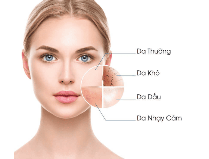 - Infographic phân loại 4 loại da mặt: da thường, da khô, da dầu và da nhạy cảm để chọn kem dưỡng phù hợp
