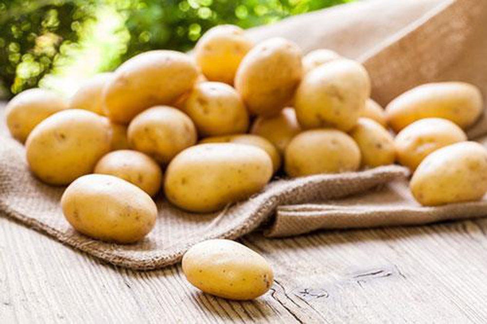 Khoai t&acirc;y tươi c&oacute; thể bảo quản trong bao l&acirc;u? | Vinmec