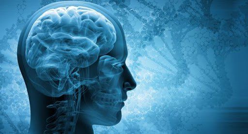 Tìm hiểu lưu lượng máu đến não