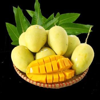 Mango is not only delicious but also nutritious