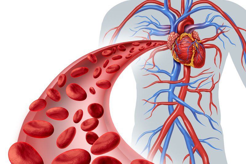 Cách cải thiện lưu lượng máu của cơ thể bạn | Vinmec
