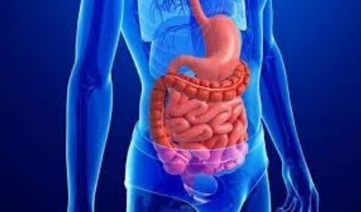 Bệnh than lây bệnh qua đường tiêu hóa