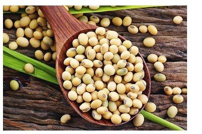 Choline can be found in soybeans.
