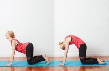 Cơ bắp khó phục hồi sau khi tập luyện khi cơ thể không được bổ sung đầy đủ chất béo