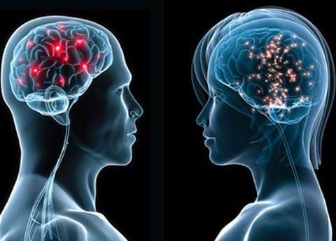Ăn sáng giúp cải thiện hiệu suất của não bộ.
