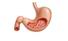 Is Atrophic Gastritis Curable?