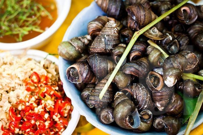 4. Cách chọn và sơ chế ốc đắng