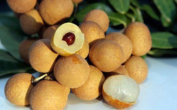 Lợi ích quả nhãn đối với sức khỏe | Vinmec