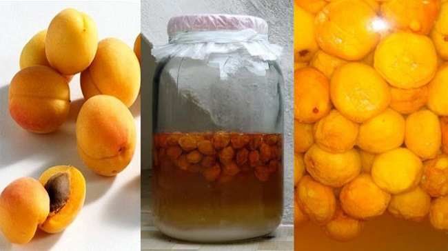 Thông tin chung về quả mơ Thông tin chung về quả mơ