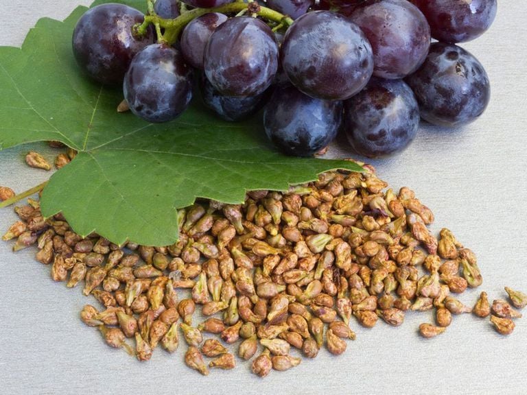 Is it good to eat grape seeds? | Vinmec