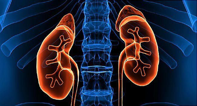 Điều trị hội chứng thận hư bằng thuốc có tốt không? | Vinmec
