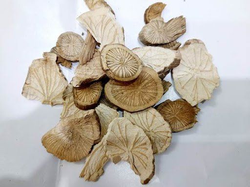 Vị thuốc phòng kỷ: Những điều cần biết | Vinmec