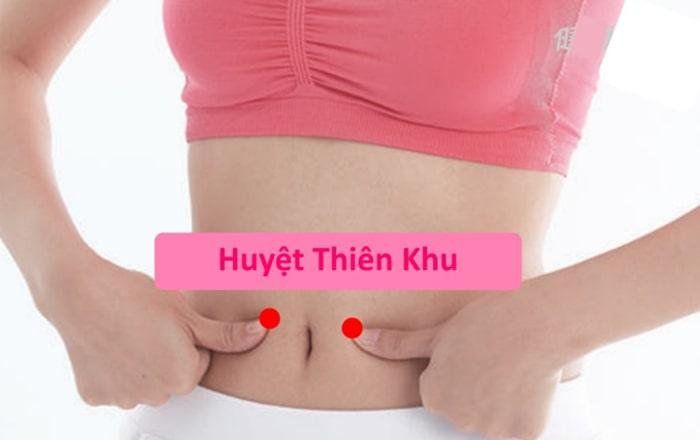Minh hoạ về việc bấm nguyệt hỗ trợ cho tuần hoàn gan