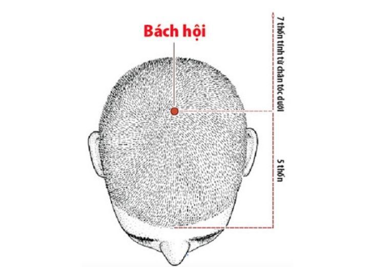 Huyệt bách hội có tác dụng gì? | Vinmec