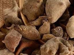 Ngũ bội tử có nhiều công dụng trị bệnh khác nhau