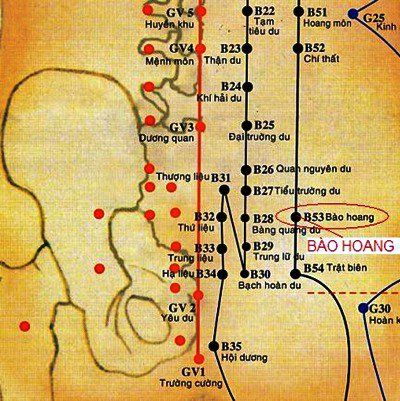 Huyệt Bào Hoang là huyệt chủ bệnh của bàng quang