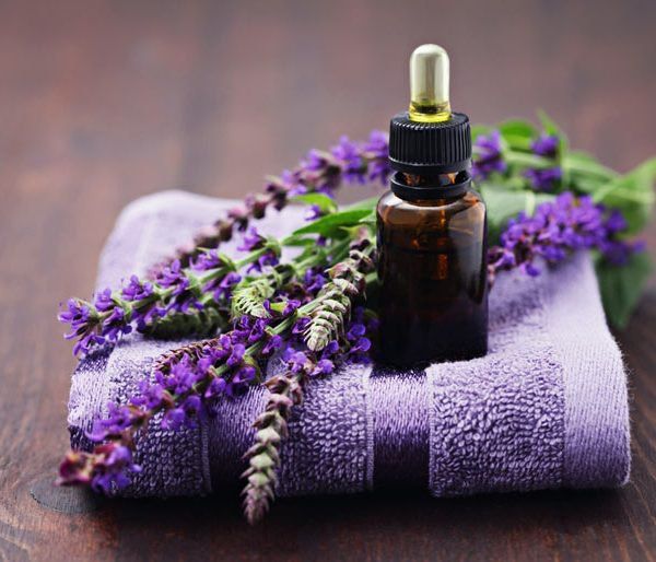 Tinh Dầu Tự Nhiên: 10 Tác Dụng và 6 Cách Dùng Hiệu Quả Cho Sức Khỏe & Làm Đẹp Tinh dầu tự nhiên mùi oải hương nhiều lợi ích cho sức khỏe