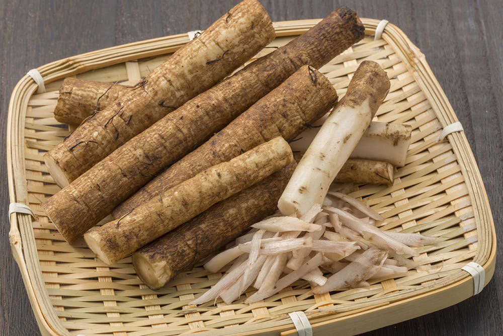 CÂY NGƯU BÀNG PHÁT TRIỂN TỐT Ở CÁC VÙNG NÔNG THÔN VIỆT NAM